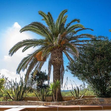 Sol Y Mar Otel Playa Migjorn Dış mekan fotoğraf
