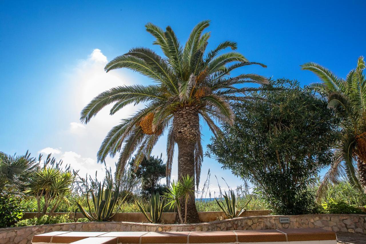 Sol Y Mar Otel Playa Migjorn Dış mekan fotoğraf