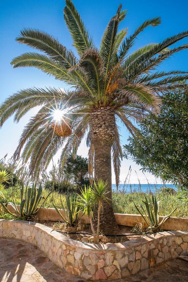Sol Y Mar Otel Playa Migjorn Dış mekan fotoğraf