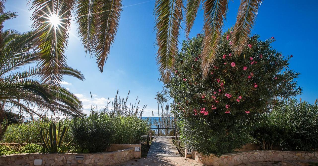 Sol Y Mar Otel Playa Migjorn Dış mekan fotoğraf